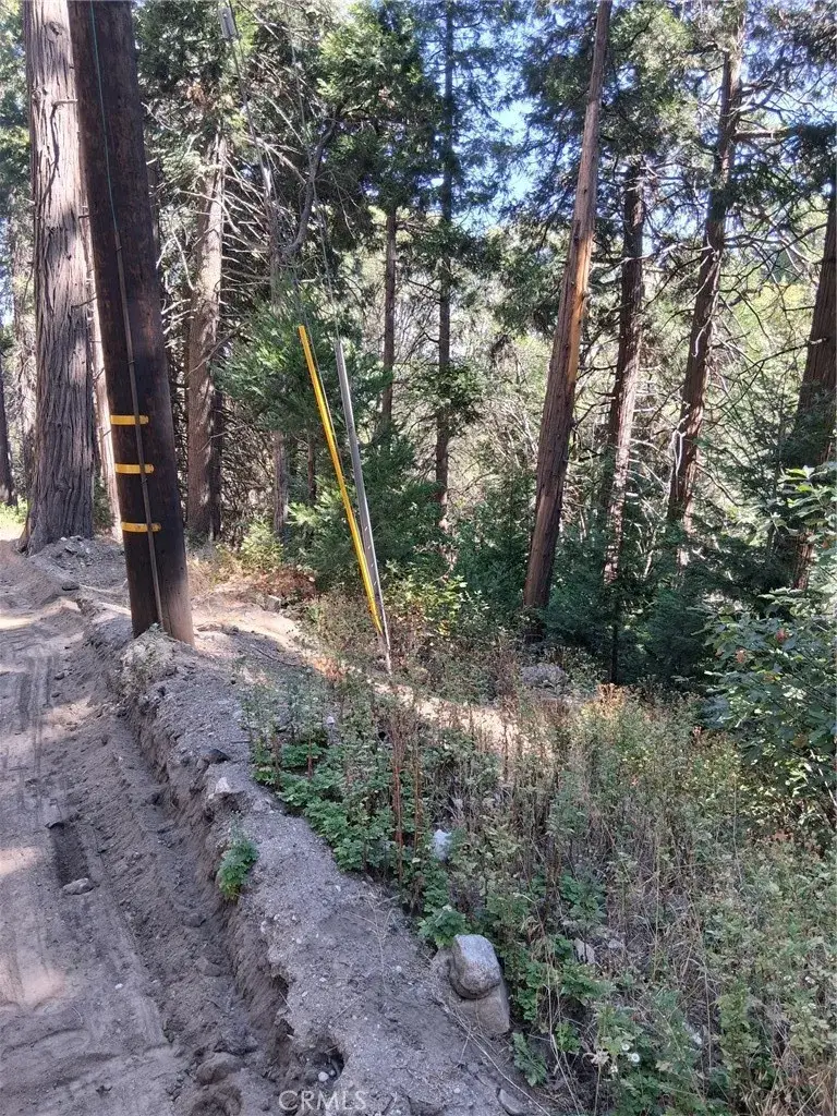 14 Burnt Mill Canyon, Cedarpines Park, CA 92322 - #1