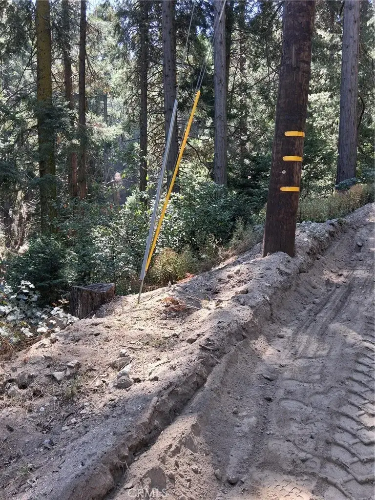 14 Burnt Mill Canyon, Cedarpines Park, CA 92322 - #2
