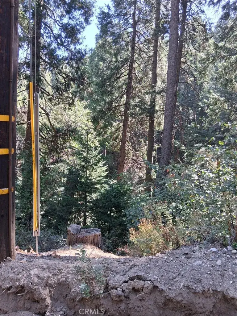 14 Burnt Mill Canyon, Cedarpines Park, CA 92322 - #3