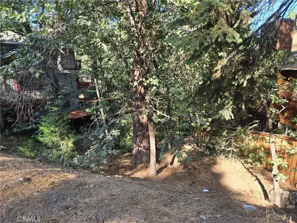 0 Secret, Running Springs, CA 92382
