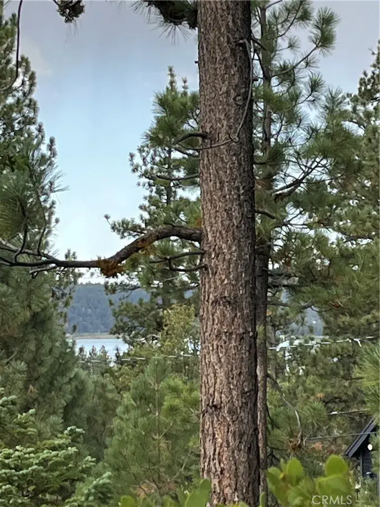 833 Great Spirits, Big Bear Lake, CA 92315 - #1