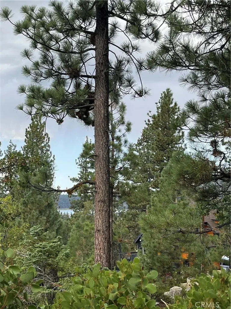 833 Great Spirits, Big Bear Lake, CA 92315 - #2