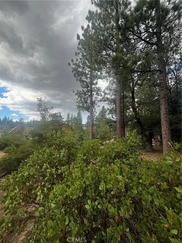 833 Great Spirits, Big Bear Lake, CA 92315 - #3