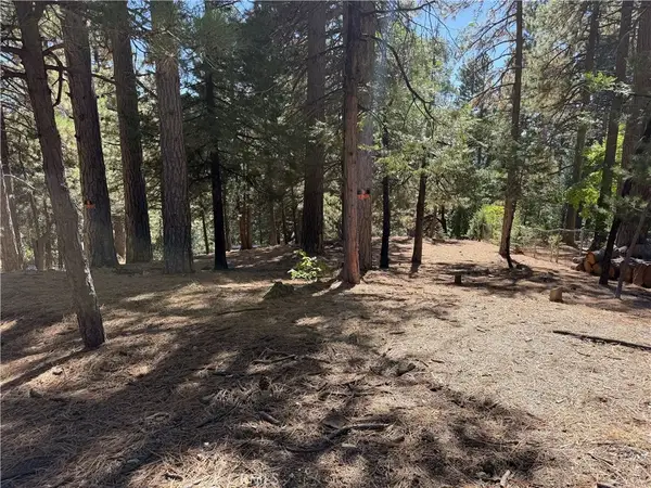 31307 Circle View, Running Springs, CA 92382