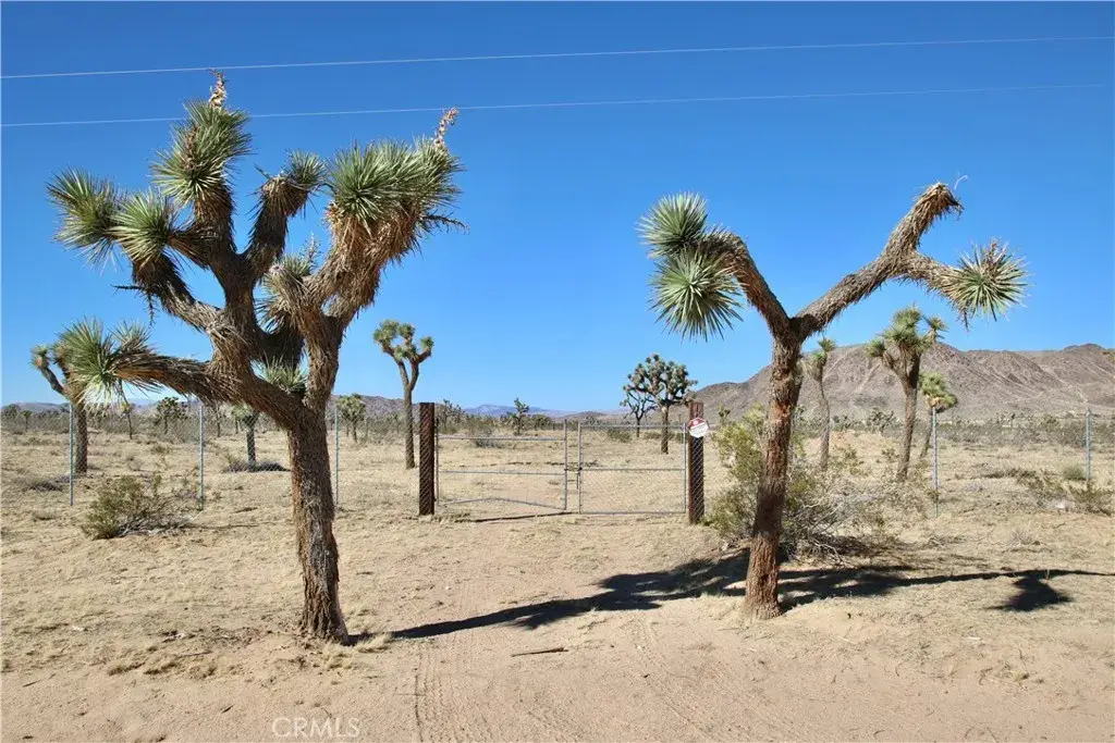 58807 Philippi, Landers, CA 92285 - #1