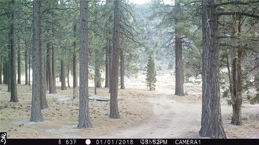 2818 Erwin Ranch, Big Bear City, CA 92314 - #2