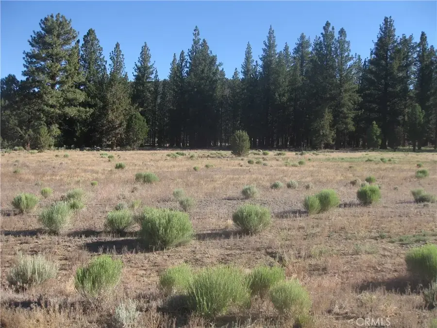 2818 Erwin Ranch, Big Bear City, CA 92314 - #3