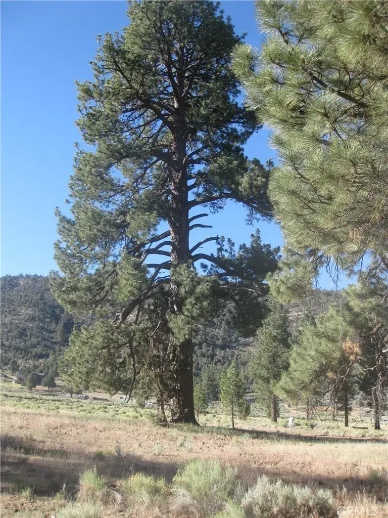 2824 Erwin Ranch, Big Bear City, CA 92314 - #1