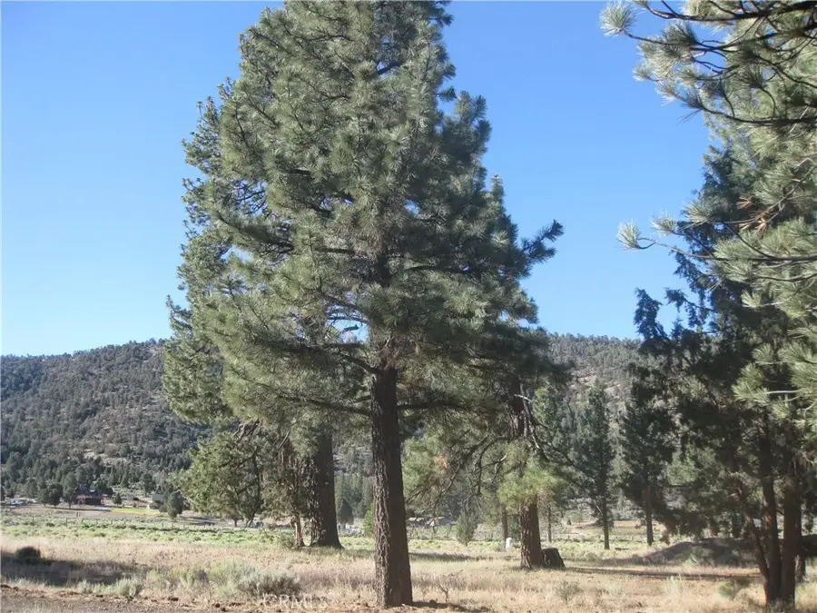 2824 Erwin Ranch, Big Bear City, CA 92314 - #2