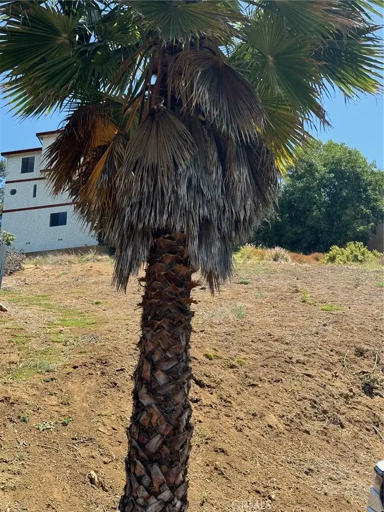 3713 Aguilar, Los Angeles, CA 90065 - Image #3