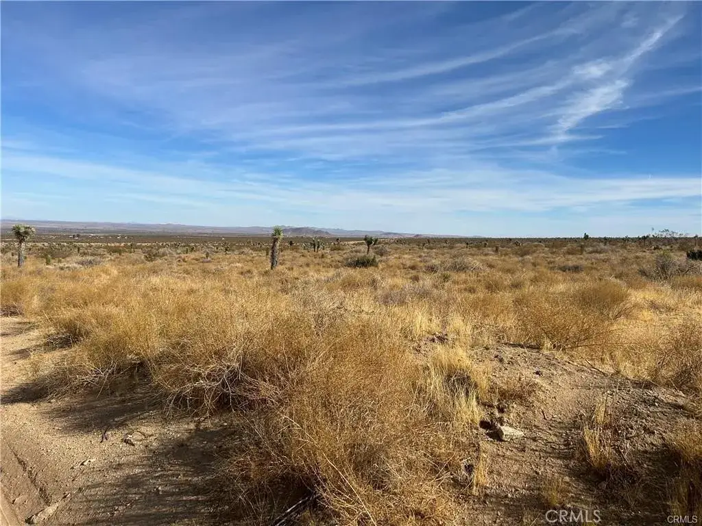 8 Fort Tejon, Llano, CA 93544 - #1
