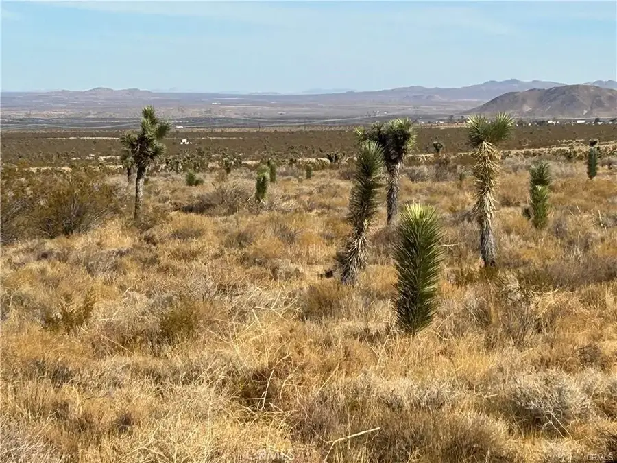 8 Fort Tejon, Llano, CA 93544 - #3