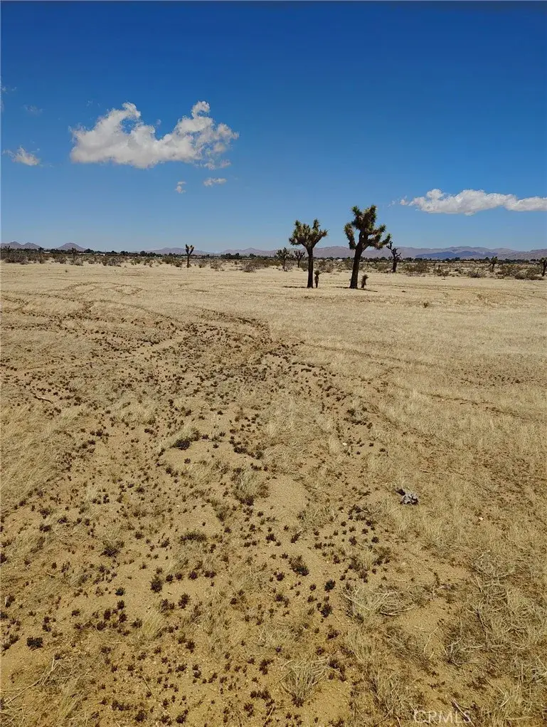 0 Juniper, Apple Valley, CA 92308 - #1