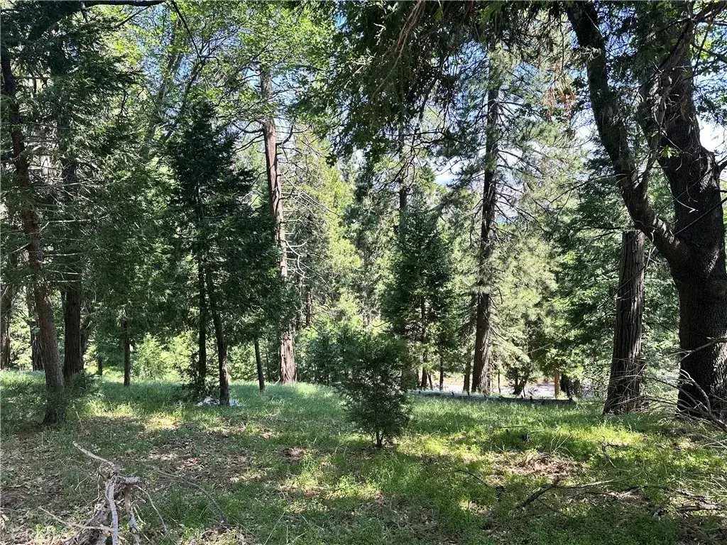 0 Bone, Cedarpines Park, CA 92322 - #1