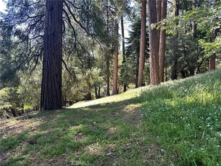 0 Bone, Cedarpines Park, CA 92322 - #2