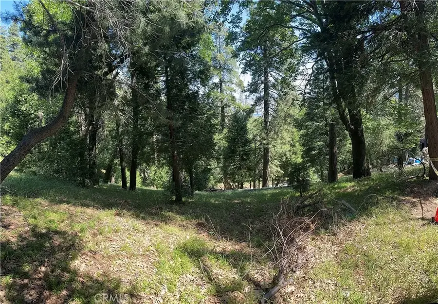 0 Bone, Cedarpines Park, CA 92322 - #3