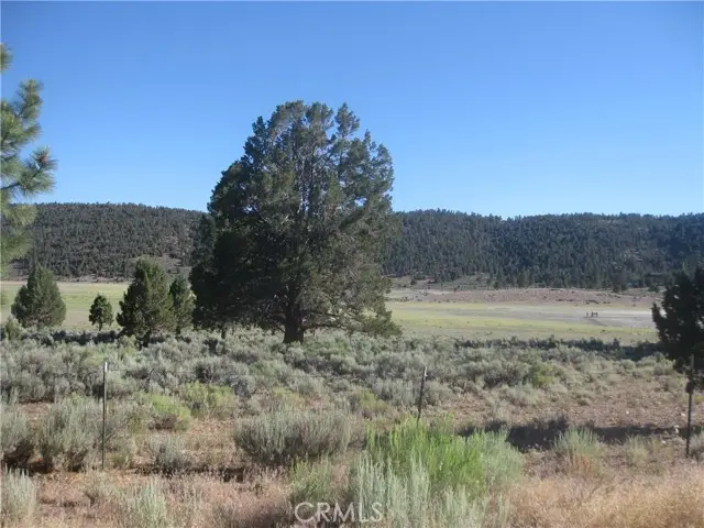 2809 Cedar, Big Bear City, CA 92314 - #2