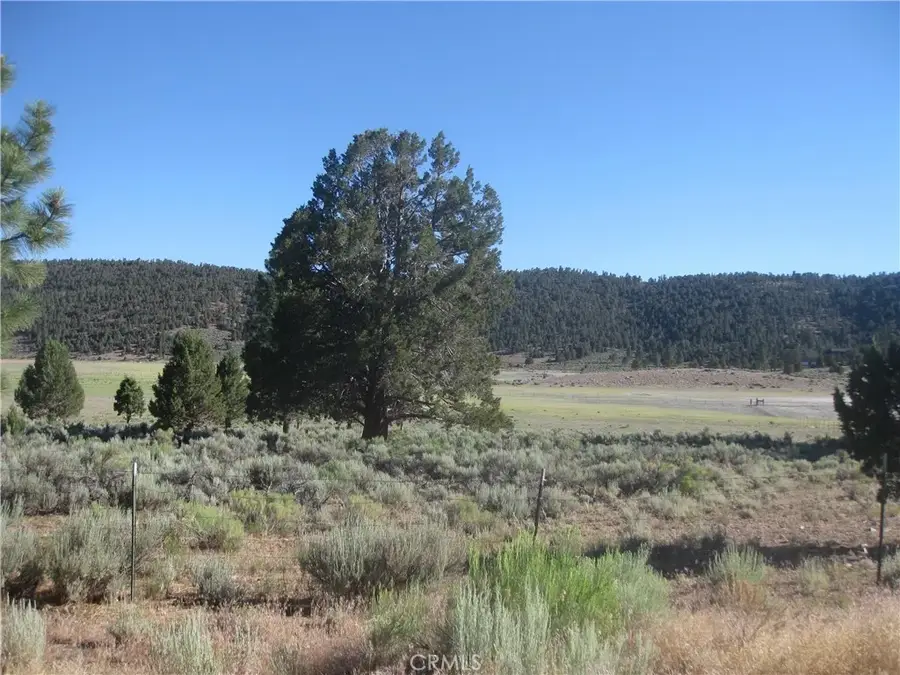2809 Cedar, Big Bear City, CA 92314 - #2