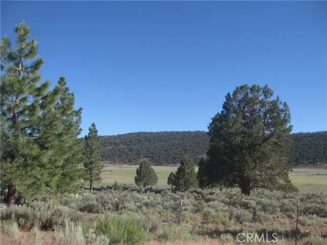 2809 Cedar, Big Bear City, CA 92314 - #3