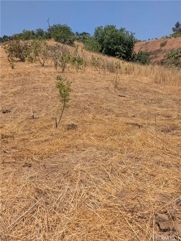 3104 Lincoln Park, Lincoln Heights, CA 90031 - Image #1