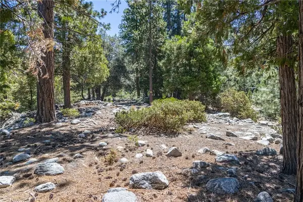 0 Quercus, Forest Falls, CA 92339