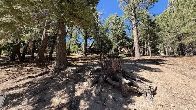 33112 Juniper, Green Valley Lake, CA 92341 - Image #3