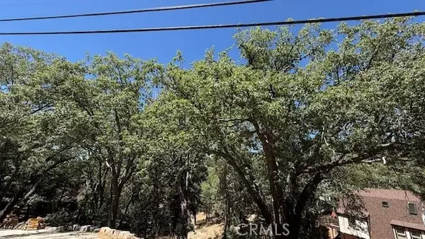 736 Dahlia, Green Valley Lake, CA 92341