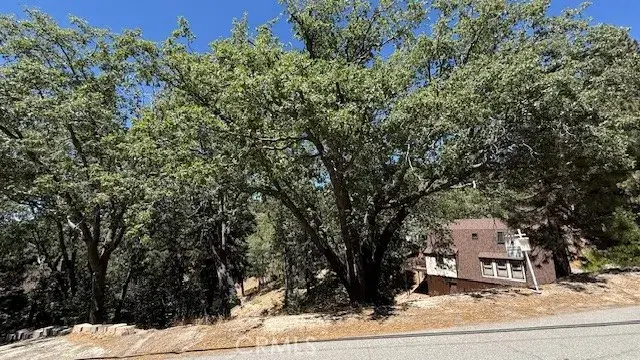 736 Dahlia, Green Valley Lake, CA 92341 - Image #2
