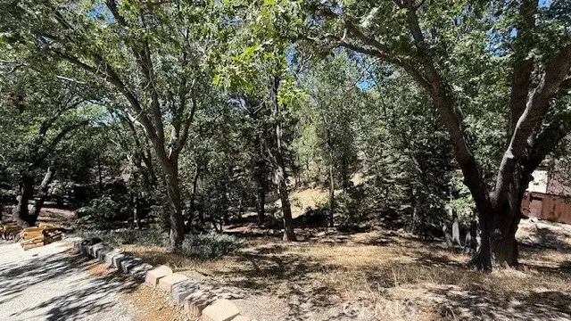 736 Dahlia, Green Valley Lake, CA 92341 - Image #3