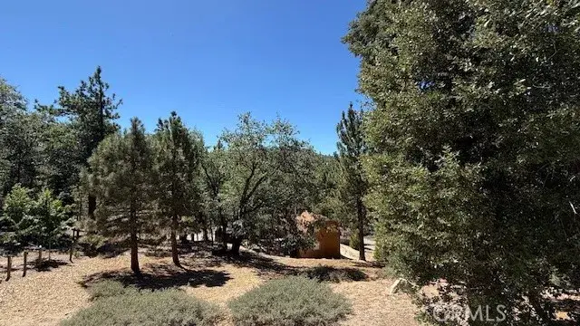 0 Piedras Grande, Green Valley Lake, CA 92341 - Image #1