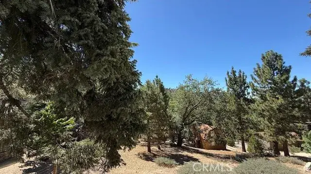 0 Piedras Grande, Green Valley Lake, CA 92341 - Image #3