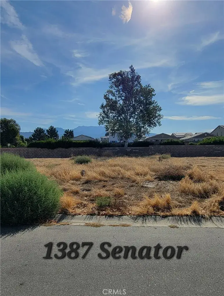1387 Senator, San Jacinto, CA 92583 - #2