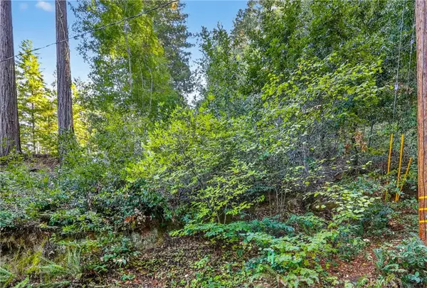 11480 Terrace, Forestville, CA 95436