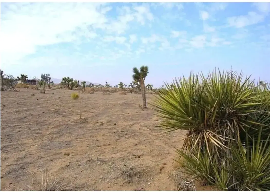 9588 Milpas, Apple Valley, CA 92308 - Image #1