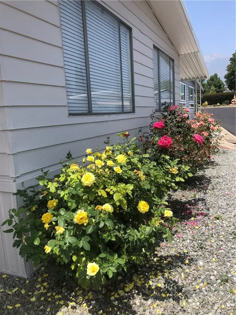 10210 Baseline #274, Rancho Cucamonga, CA 91701 - Image #3