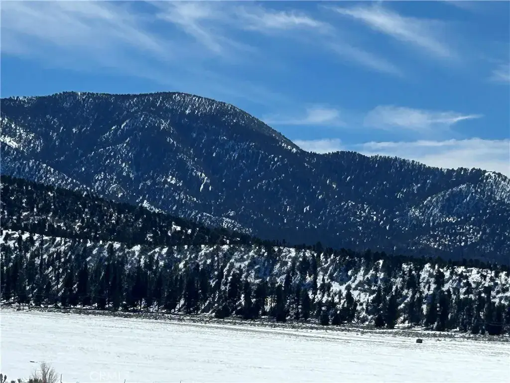 45935 Parkway, Big Bear City, CA 92314 - #1