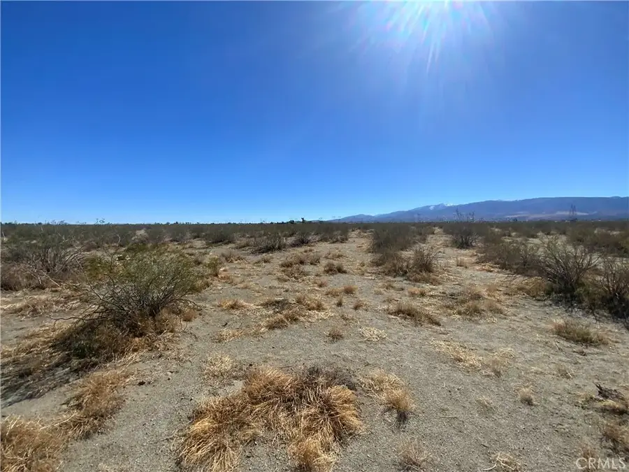 2975 Yucca Terrace, Pinon Hills, CA 92372 - Image #2