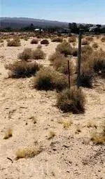 0 Chloride, Newberry Springs, CA 92365 - #2