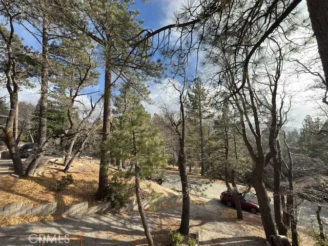 33058 Juniper Lane, Green Valley Lake, CA 92341 - #3