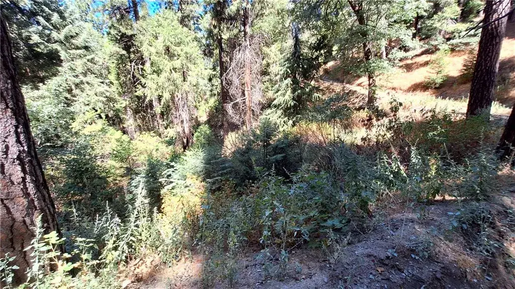 0 El Valle, Cedarpines Park, CA 92322 - #1