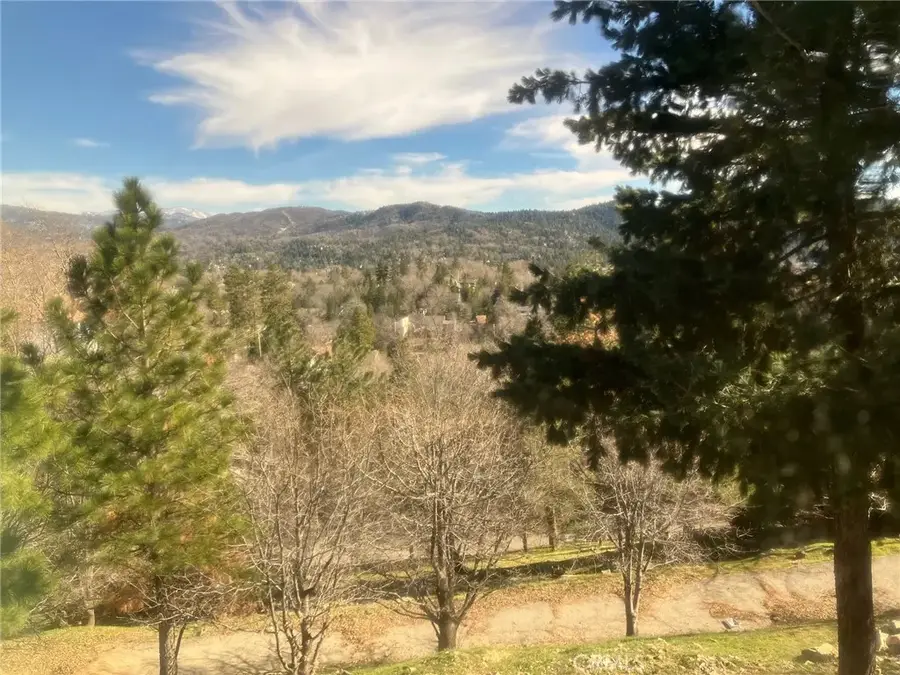 28131 Zermatt, Lake Arrowhead, CA 92352 - #3