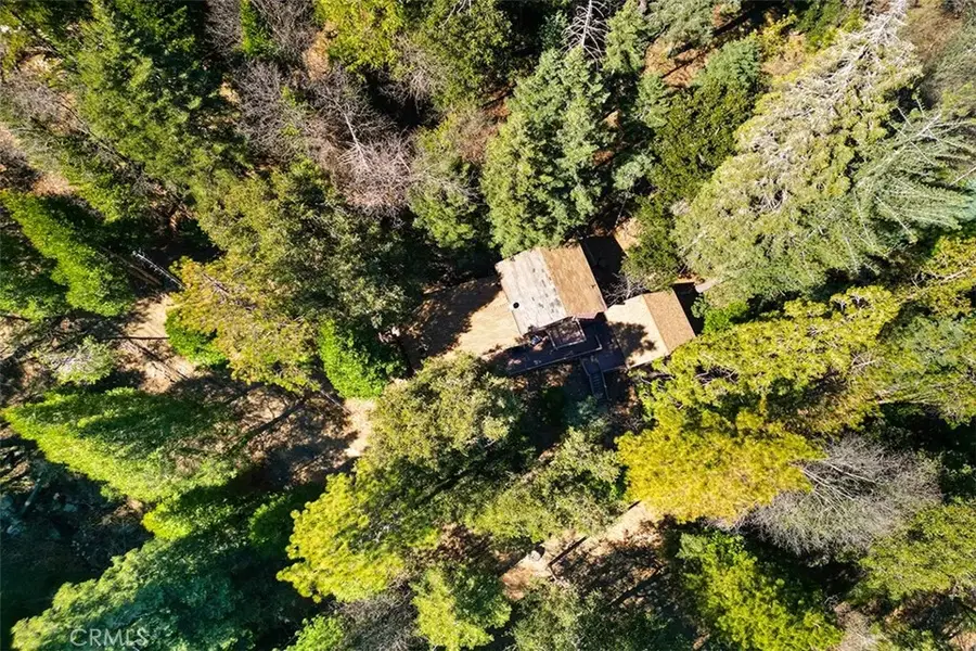 0 Alder Creek, Cedarpines Park, CA 92322 - #2