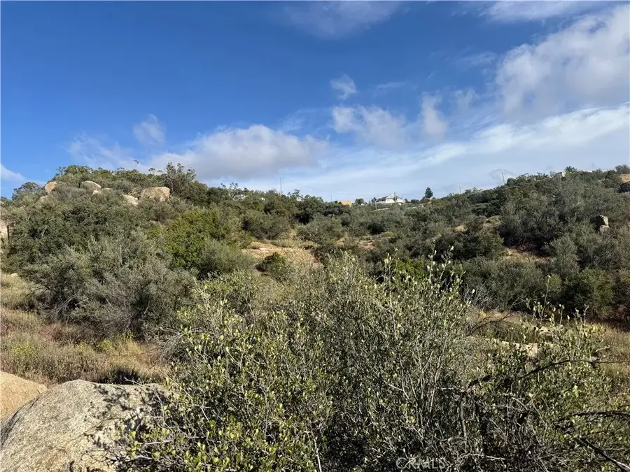 50750 Anzanita, Anza, CA 92539 - #2