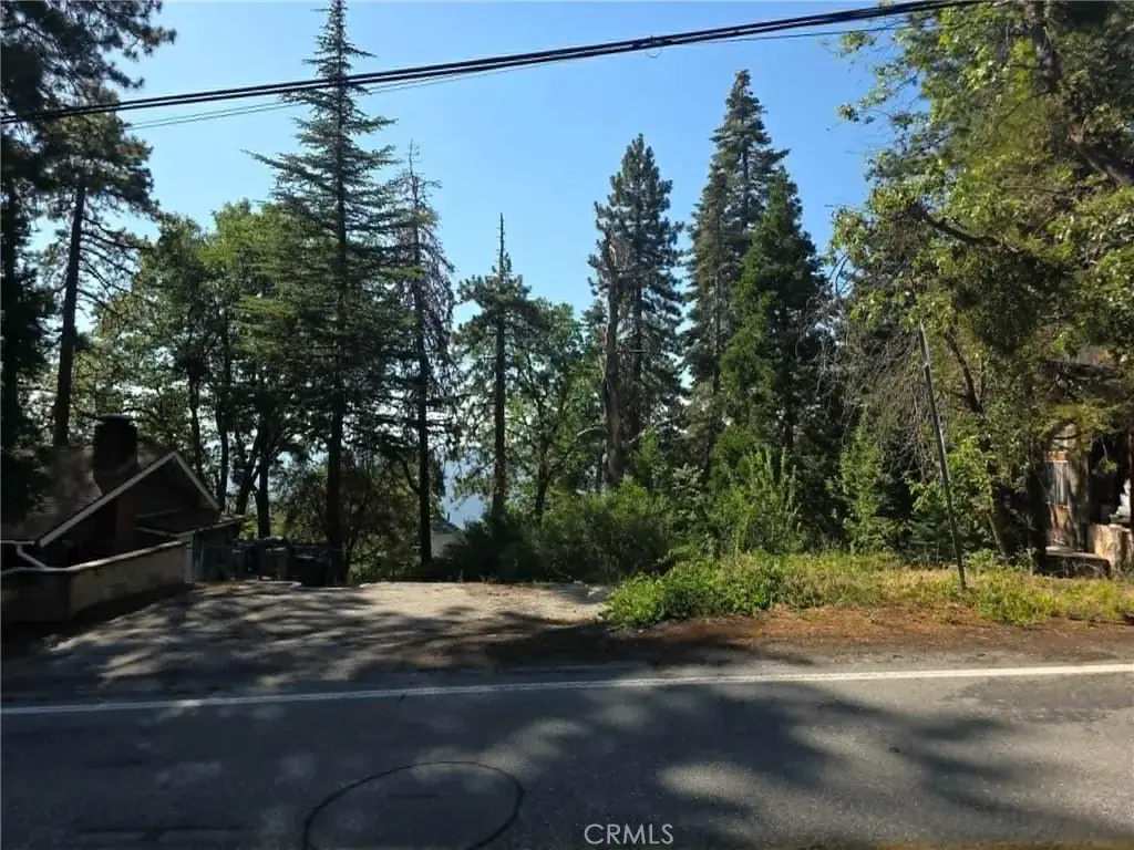 30778 Live Oak, Running Springs, CA 92382 - #1