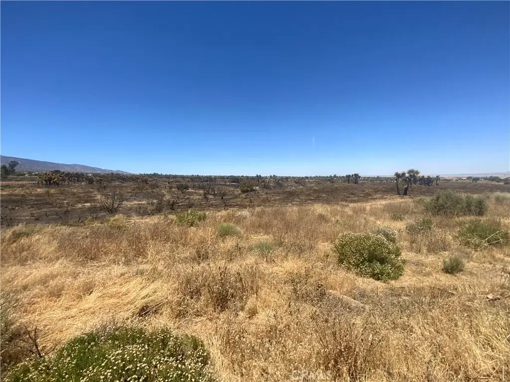 0 Joshua Tree, Landers, CA 92285 - #1