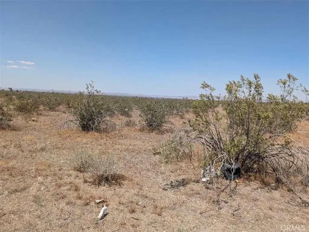 6 Dos Palmas, Pinon Hills, CA 92372 - #1