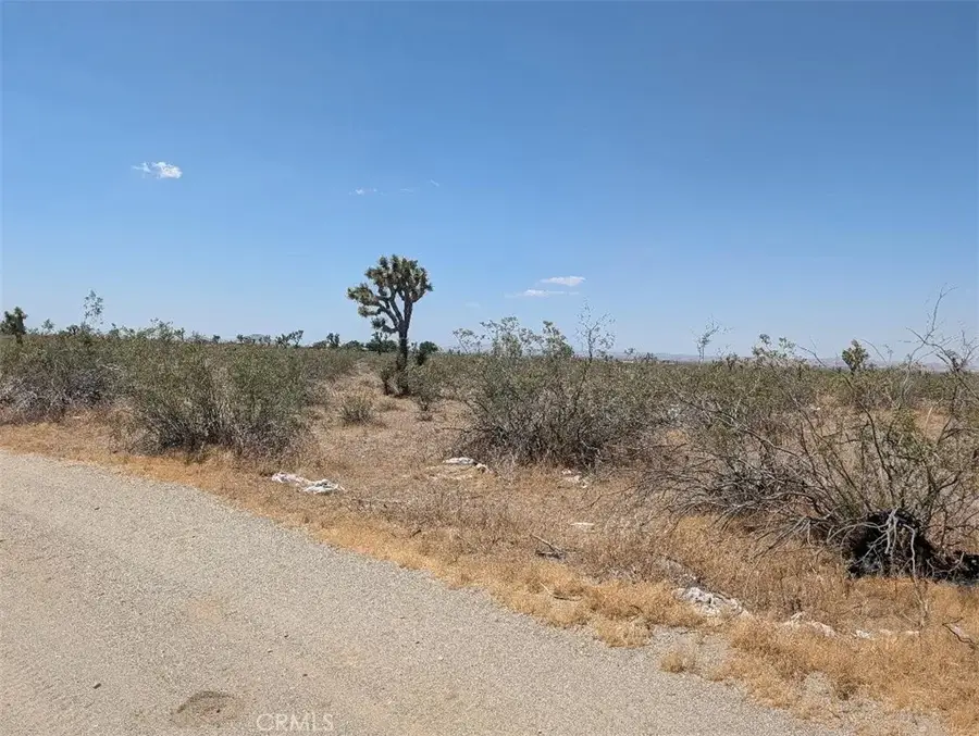 6 Dos Palmas, Pinon Hills, CA 92372 - #3