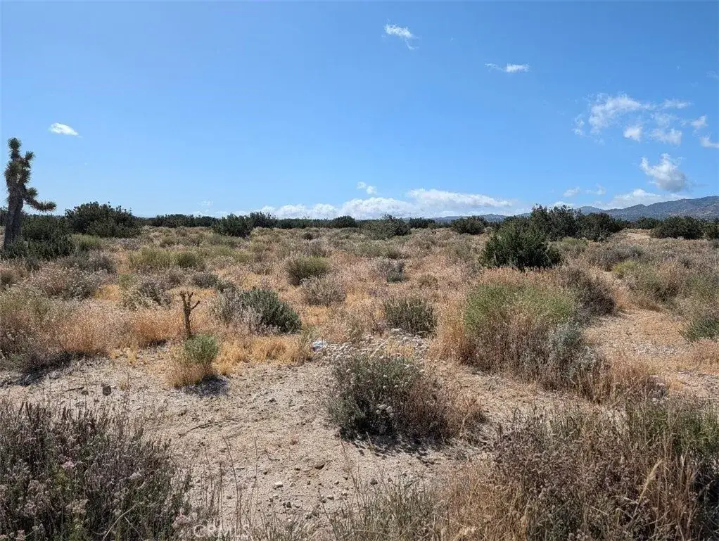 33 Antelope, Llano, CA 93544 - #1