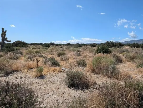 33 Antelope, Llano, CA 93544