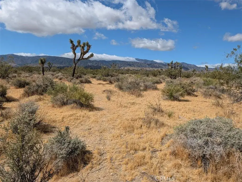 27 248th, Llano, CA 93544 - #1